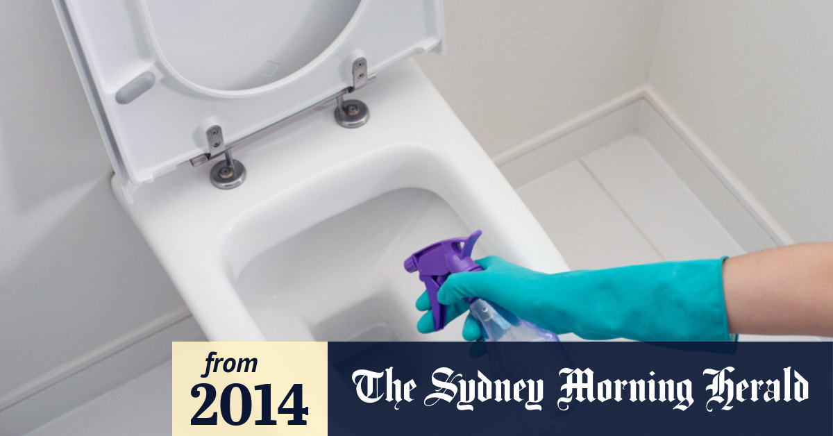 Nine items dirtier than a toilet seat